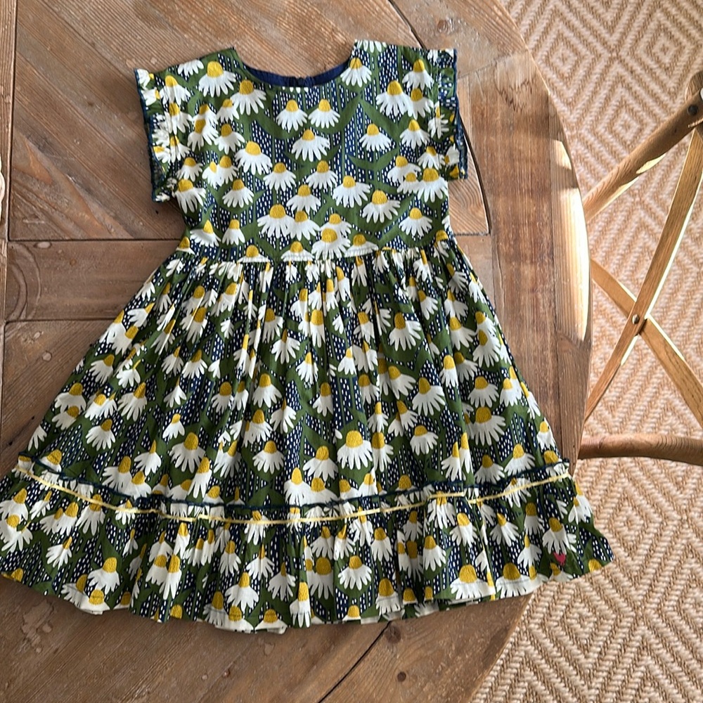 Pink Chicken Daisy Print Dress in Green and White